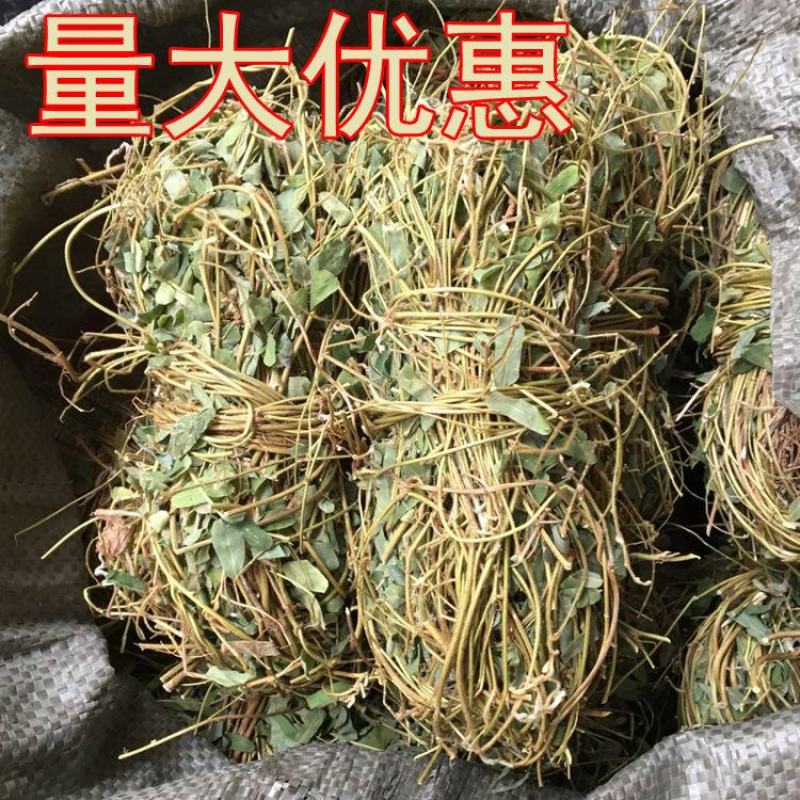 好鸡骨草广西鸡骨草有叶大黄草根煲汤料