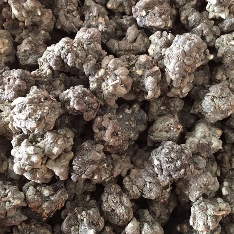 猫爪草新货批发水洗货一斤装猫爪草批发量大优惠