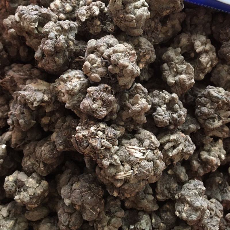 猫爪草新货批发水洗货一斤装猫爪草批发量大优惠