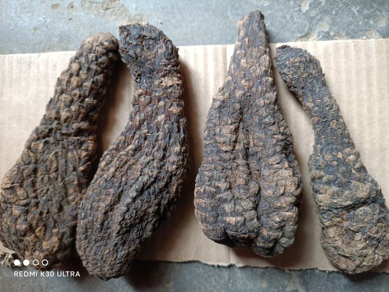 肉苁蓉新疆油苁蓉2020新货大量上市需要制的联系