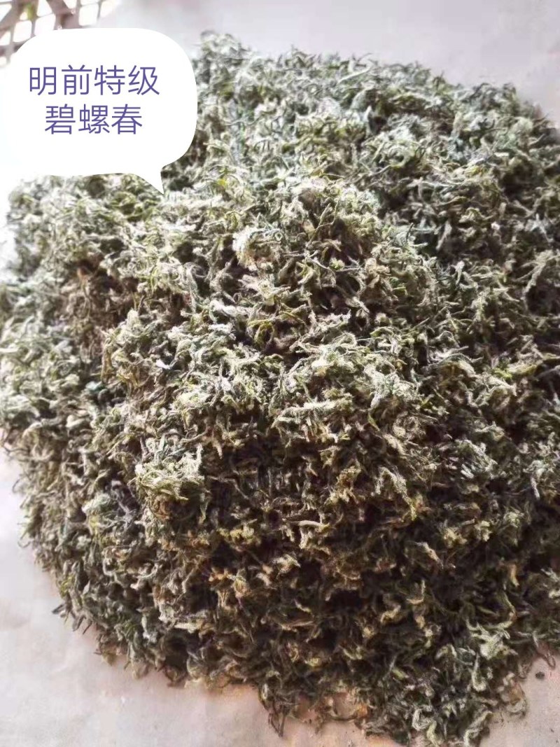 苏州碧螺春2021新茶特级浓香型明前春茶高等级散装茶