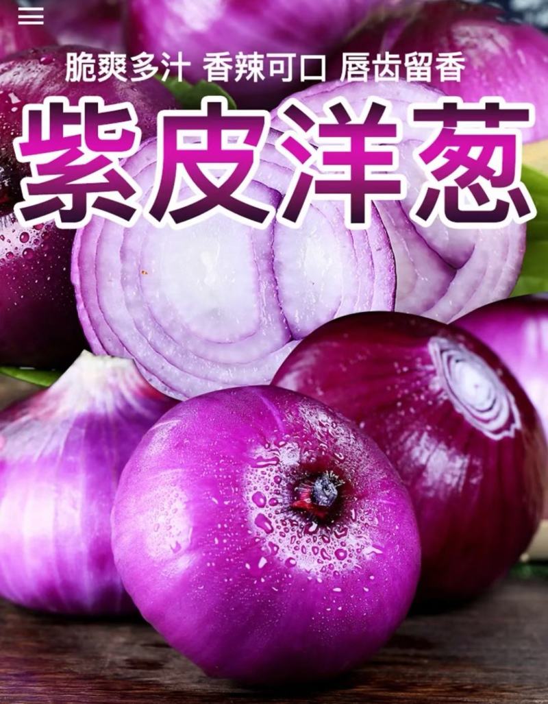 云南建水县精品紫皮洋葱大量上市，货源充足。