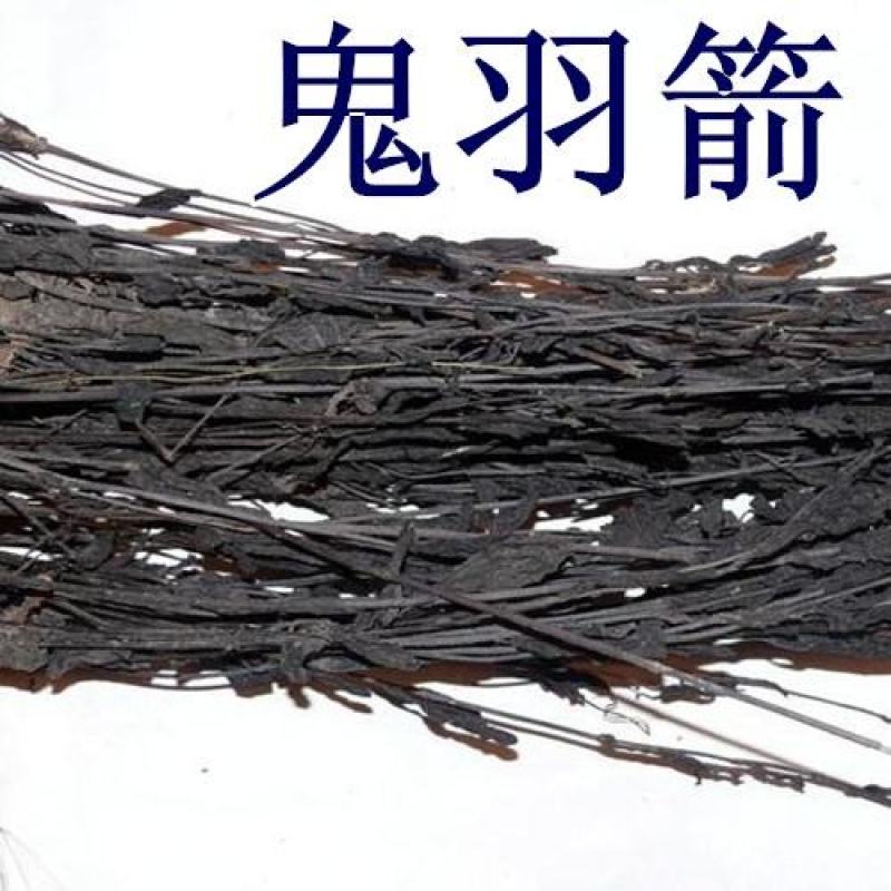 鬼羽箭中药材鬼羽箭黑草克草黑骨草羽箭