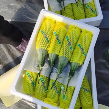 甜瓜精品羊角蜜甜瓜大落价，瓜甜条正，按需装箱