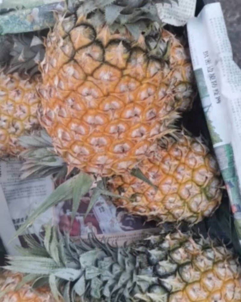 菠萝，产地直发。口感好。无黑心。价格低。货源充足。
