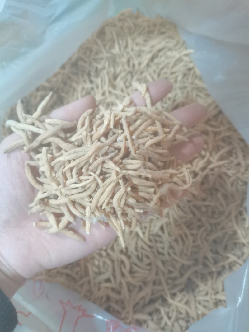 太子参孩子参参味浓价格实惠货好