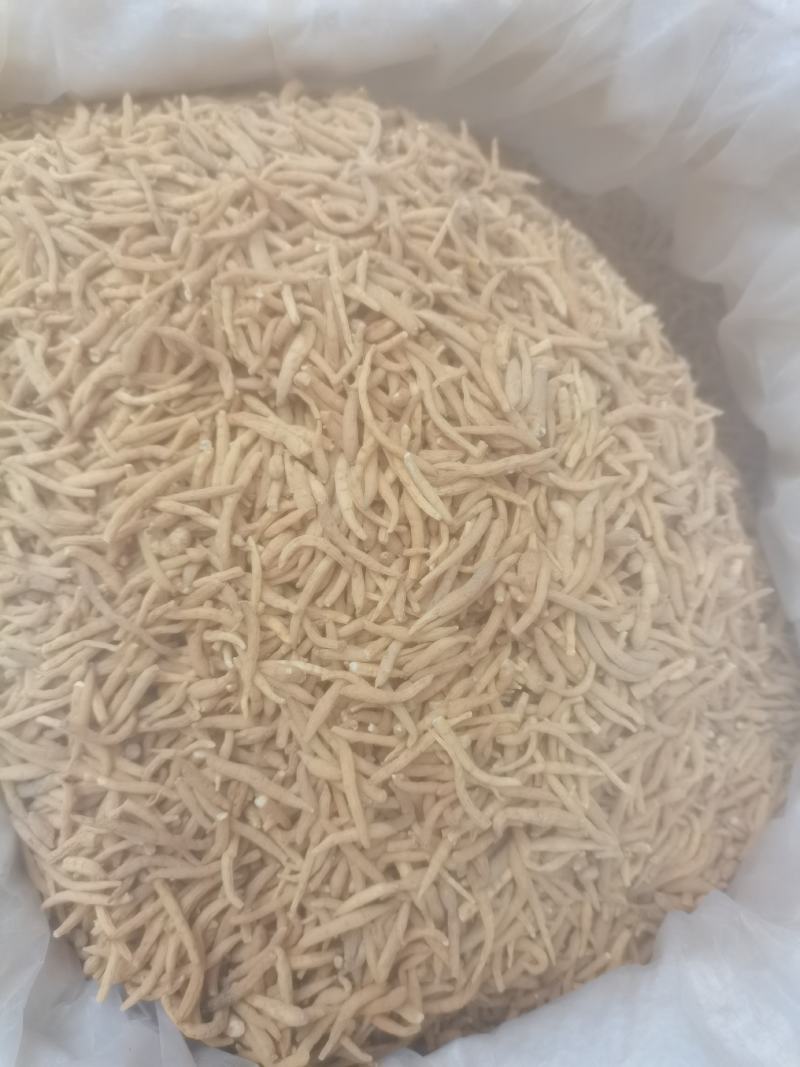 太子参孩子参参味浓价格实惠货好