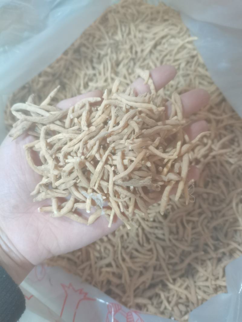 太子参孩子参参味浓价格实惠货好