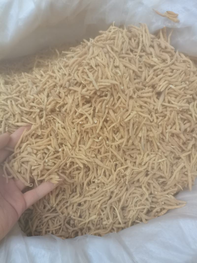 太子参孩子参参味浓价格实惠货好