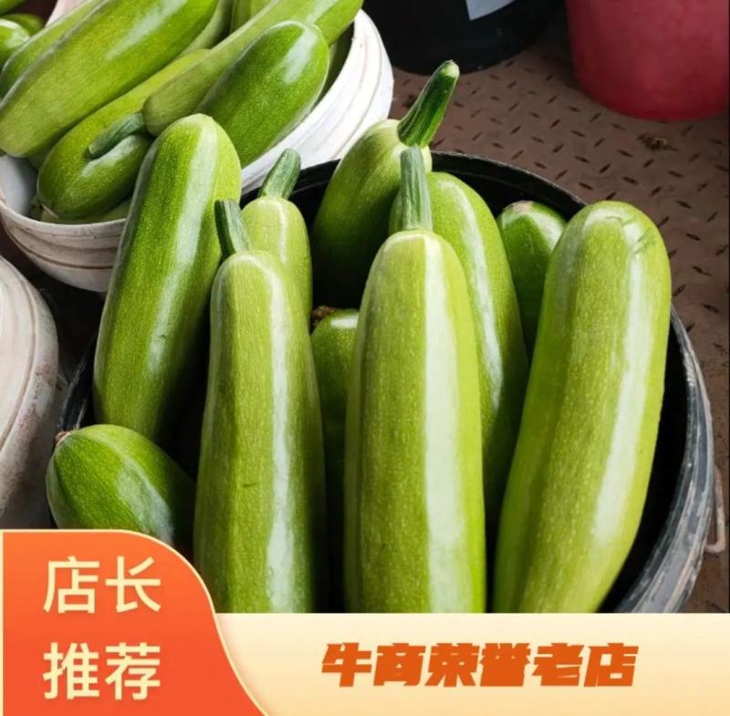 山东聊城绿皮西葫芦产地直供大量现货支持全国发货