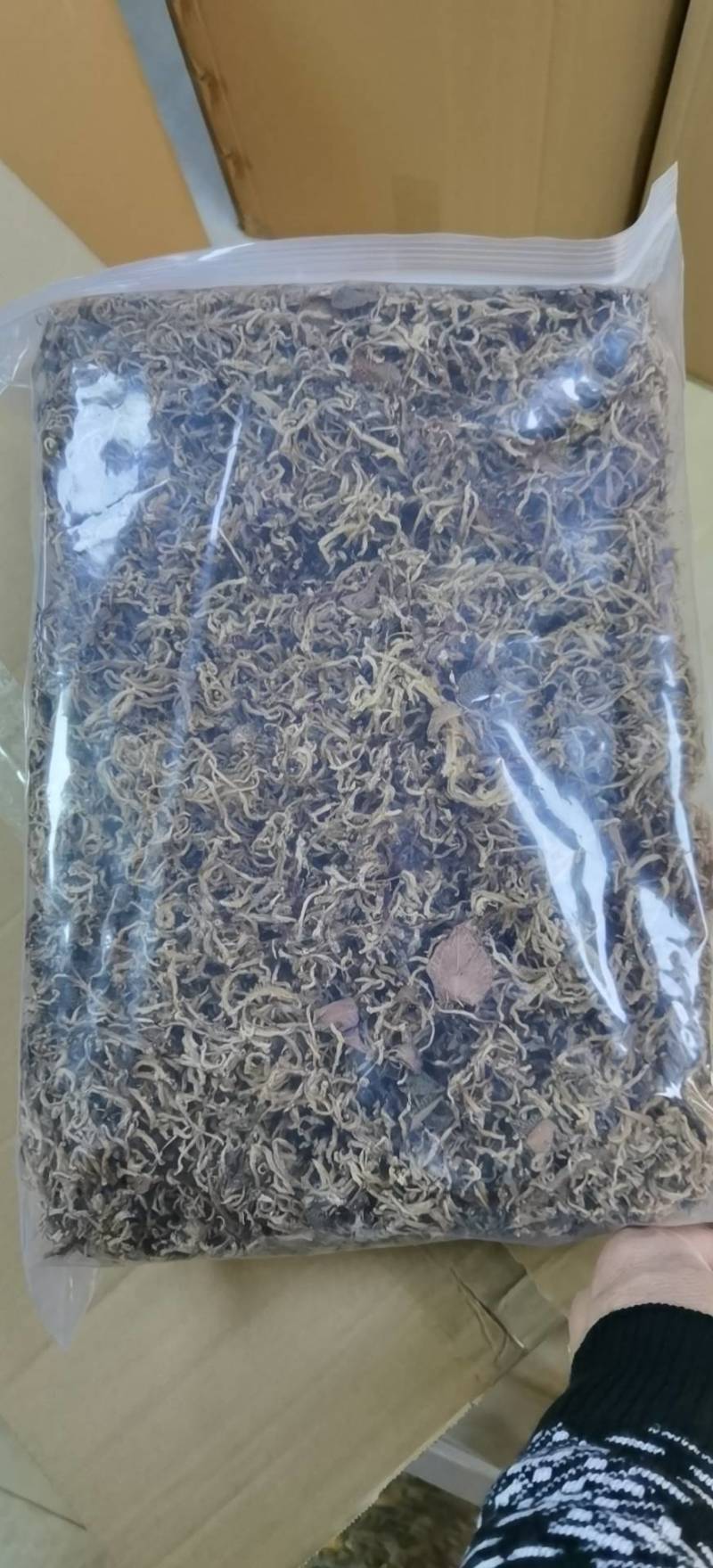 组培金线莲红霞干品。