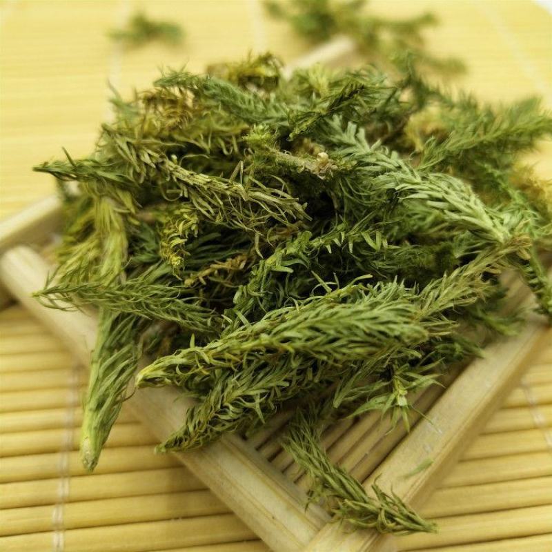 正品新货伸筋草500克包邮品质保证伸筋草石松狮子草泡脚