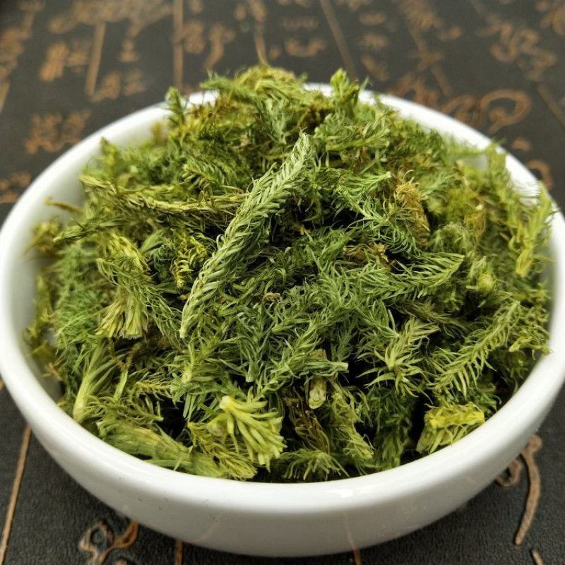 正品新货伸筋草500克包邮品质保证伸筋草石松狮子草泡脚