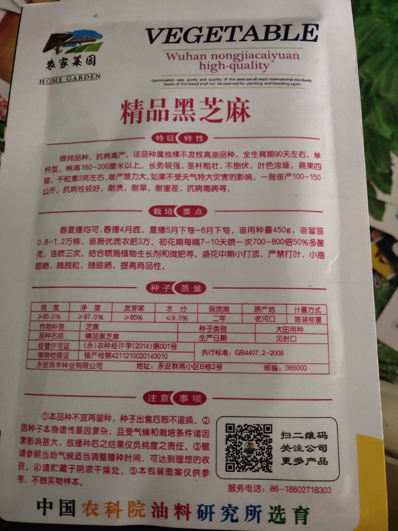 黑芝麻种子，优质高产，高油，不倒伏