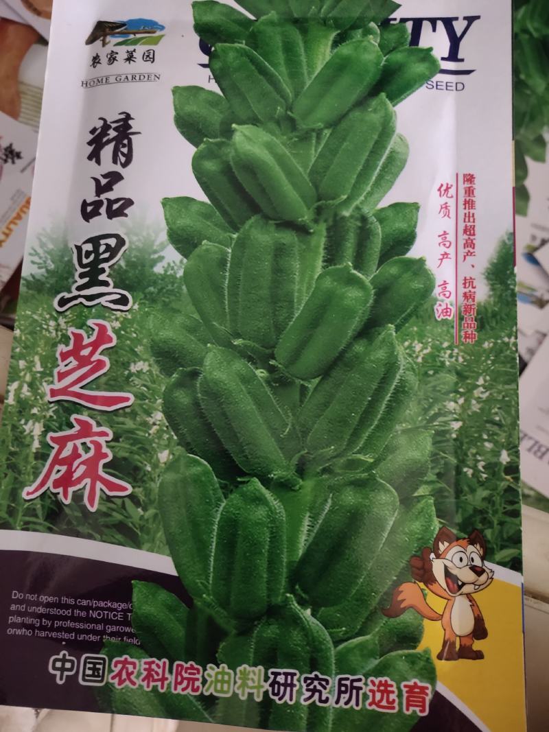 黑芝麻种子，优质高产，高油，不倒伏