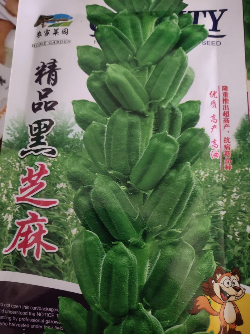黑芝麻种子，优质高产，高油，不倒伏
