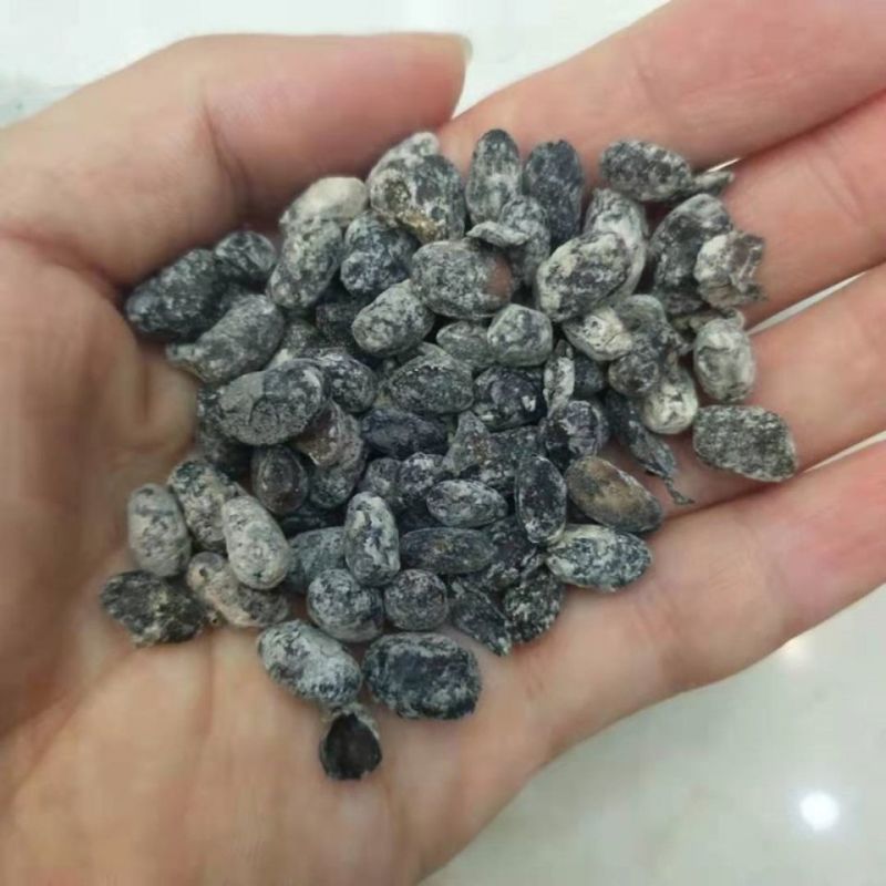 淡豆豉中药材无硫淡豆豉干豆豉黑豆豉2斤起