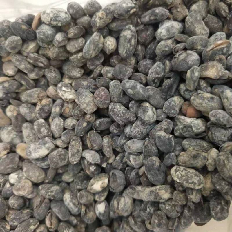 淡豆豉中药材无硫淡豆豉干豆豉黑豆豉2斤起