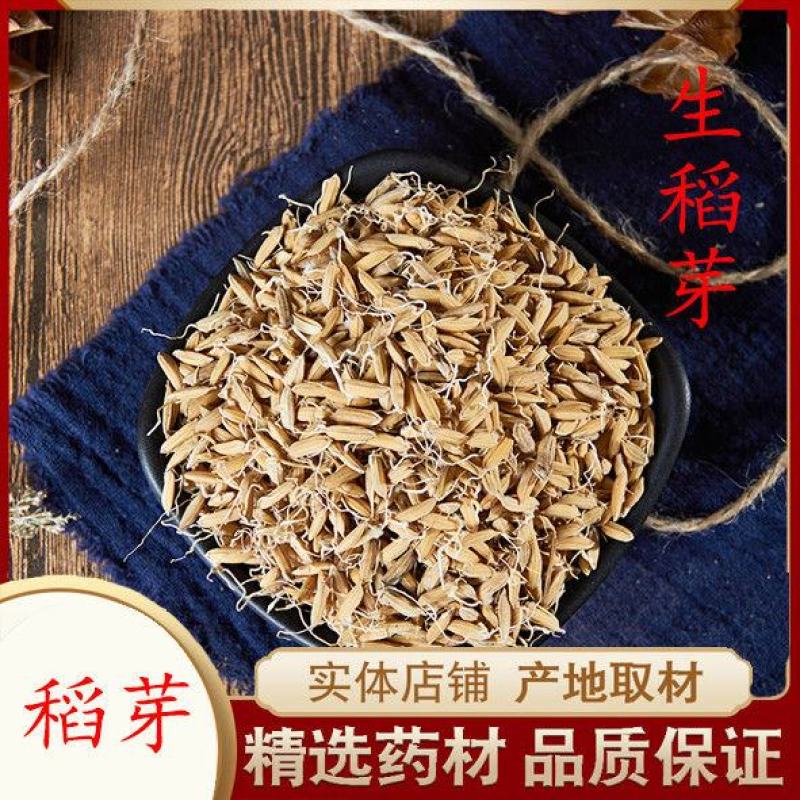 中药材炒谷芽250克500克包邮新货谷芽另有生谷芽谷芽谷