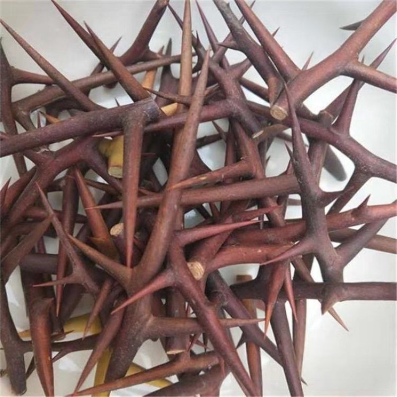 中药材皂刺纯刺野生皂角刺皂荚刺天丁皂刺新货10