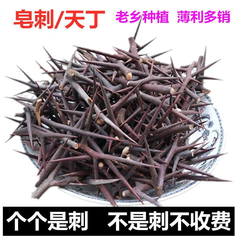 中药材皂刺纯刺野生皂角刺皂荚刺天丁皂刺新货10