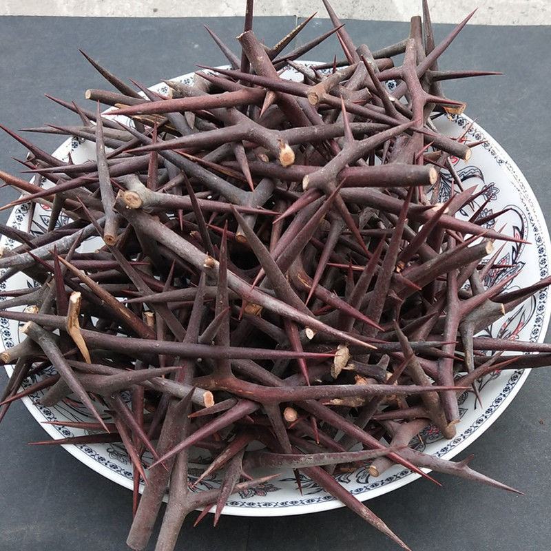 中药材皂刺纯刺野生皂角刺皂荚刺天丁皂刺新货10