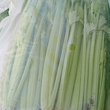 精品香芹，产地一手货源充足，欢迎咨询来电