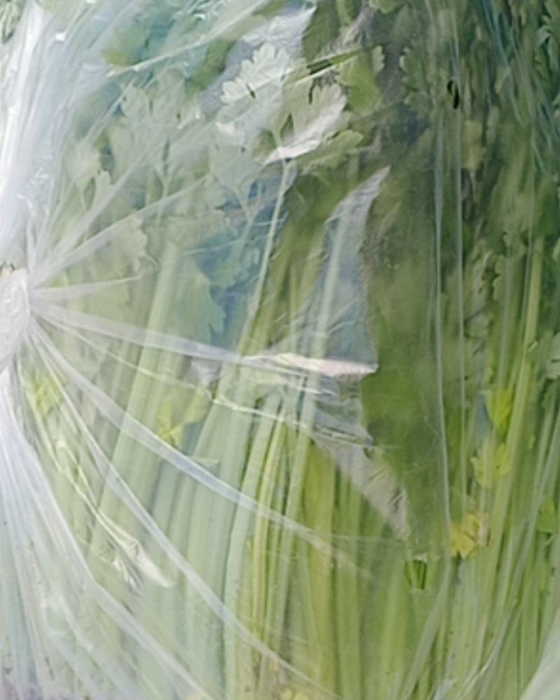 精品香芹，产地一手货源充足，欢迎咨询来电
