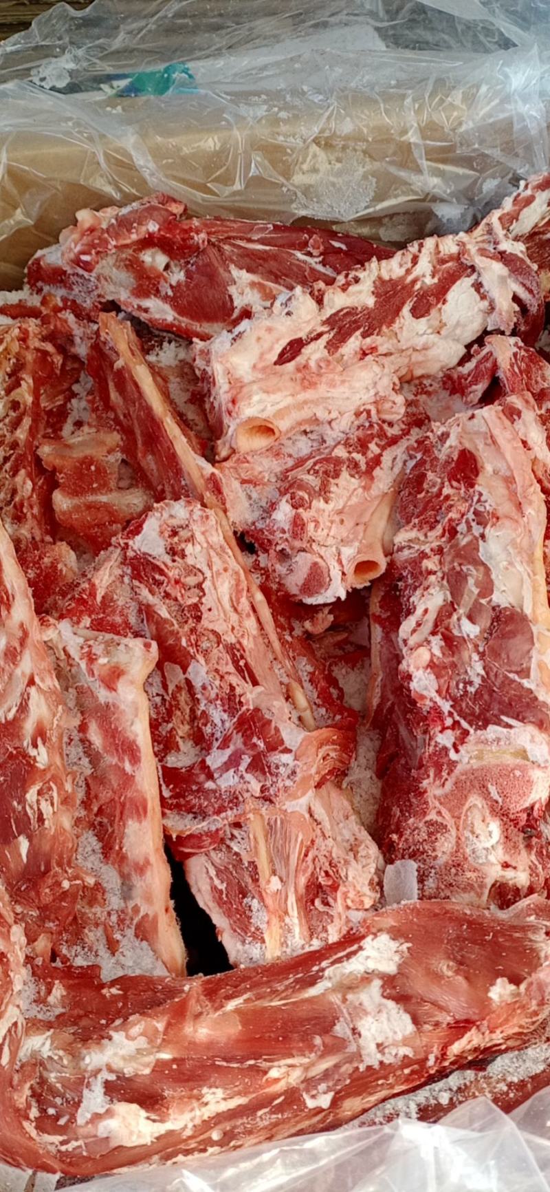 锡林浩特本地羊龙骨肉大好吃还不贵《厂家直销》