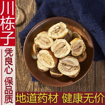 中药川楝子苦石楝货好量大要多优惠不满意可以退换货