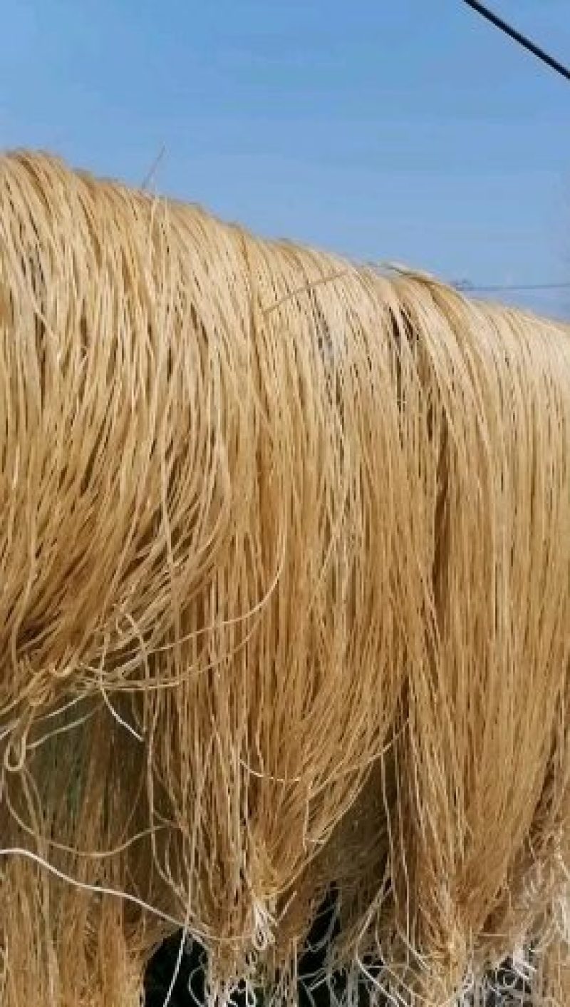 铁棍山药粉条，粉皮口质不一般，都想尝尝鲜口感劲道