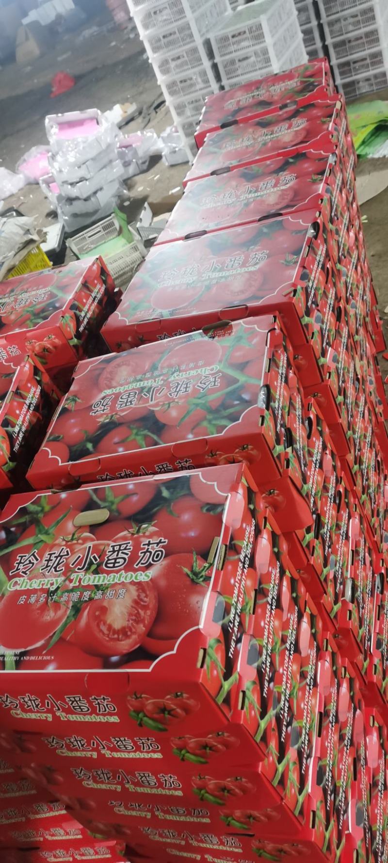 釜山88/玲珑小番茄！薄皮多汁！香甜可口！馈赠佳品！