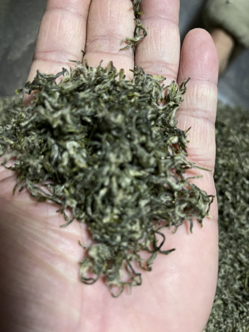 苏州碧螺春2021新茶特级浓香型明前春茶高等级散装茶