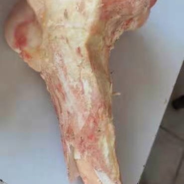 牛棒骨圆棒扁棒混着大量有货