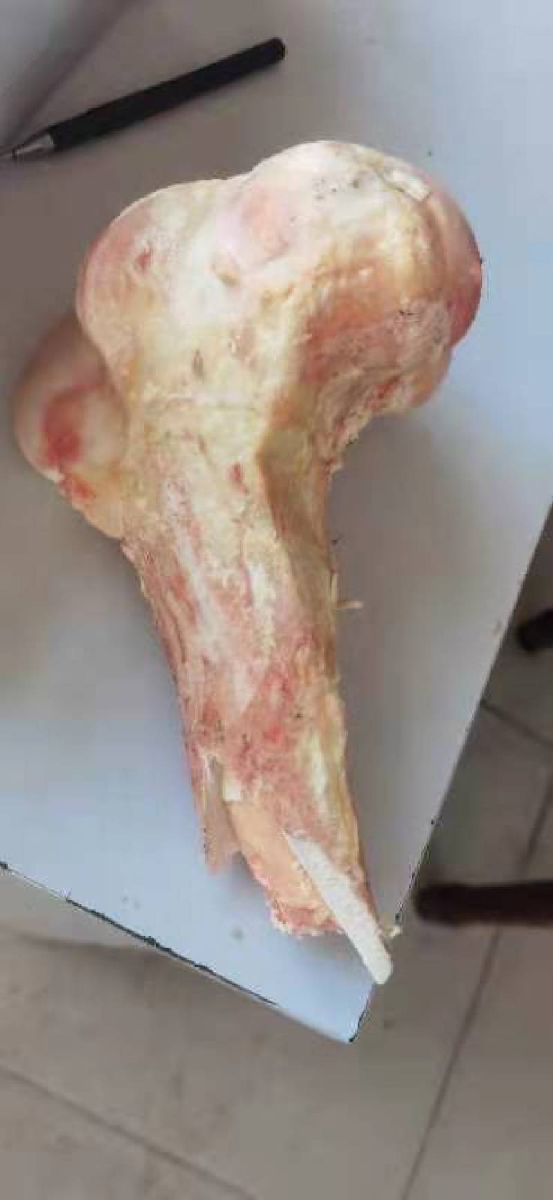 牛棒骨圆棒扁棒混着大量有货