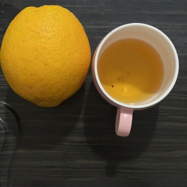 橙子苗脐橙树苗（习橙苗）御橙果苗红心脐橙苗