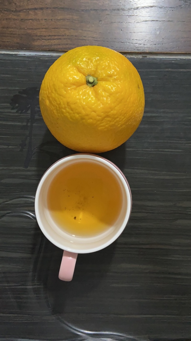橙子苗脐橙树苗（习橙苗）御橙果苗红心脐橙苗