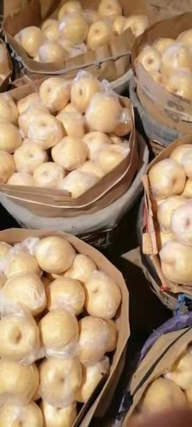 乾县泔河酥梨，皮薄，脆甜，少渣多汁，核小，甜度好走商品
