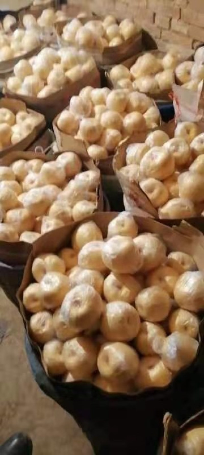 乾县泔河酥梨，皮薄，脆甜，少渣多汁，核小，甜度好走商品