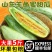 羊角蜜甜瓜3-5斤一件代发包售后对接电商微商团购