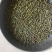 二级绿豆，食品豆，食品豆，20年新绿豆，明豆，毛豆新豆