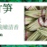 郴州深山小竹笋，上市早，带壳发货，产地直采，量大从优