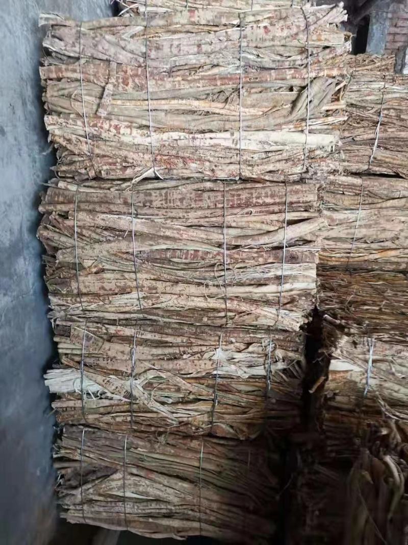 桑白皮中药材批发零售桑白皮桑根皮老桑根皮