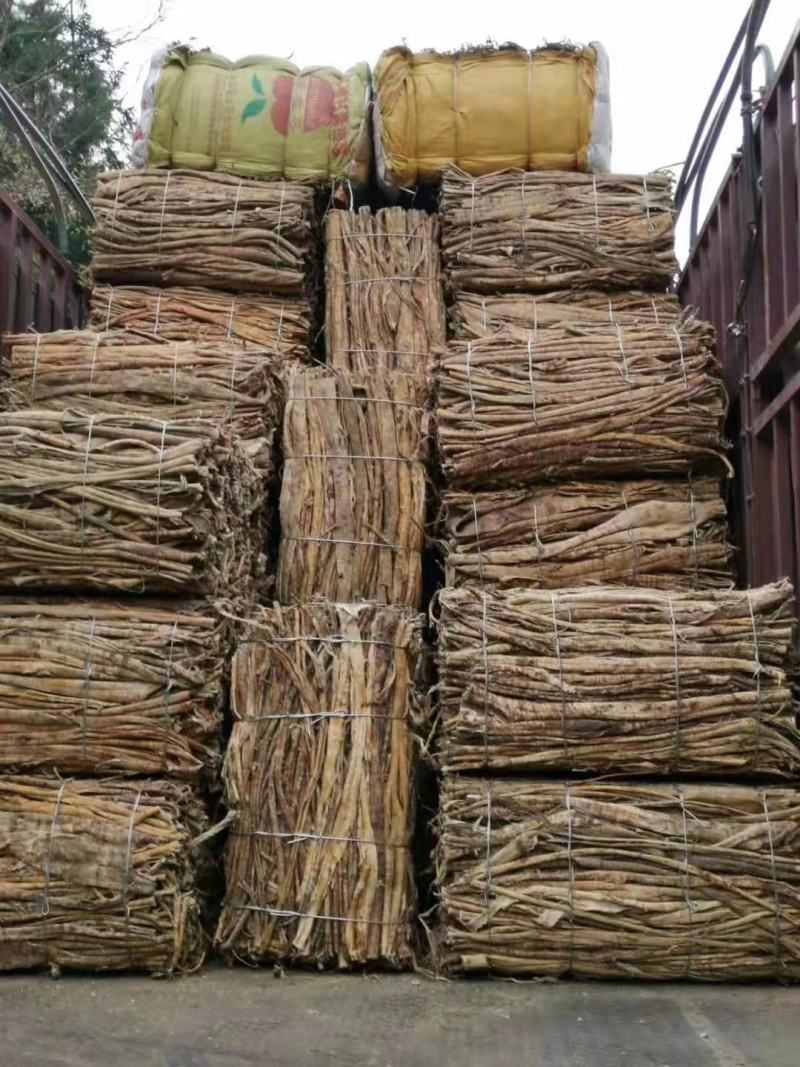 桑白皮中药材批发零售桑白皮桑根皮老桑根皮