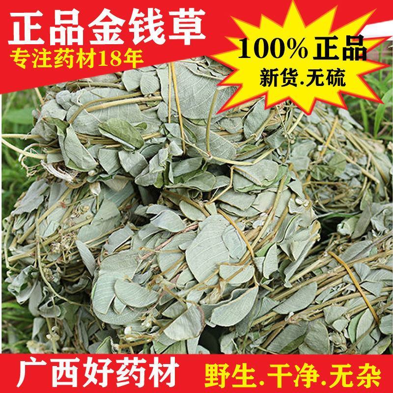 广西新鲜晒干大叶金钱草广金钱草化石茶药材店铺批发