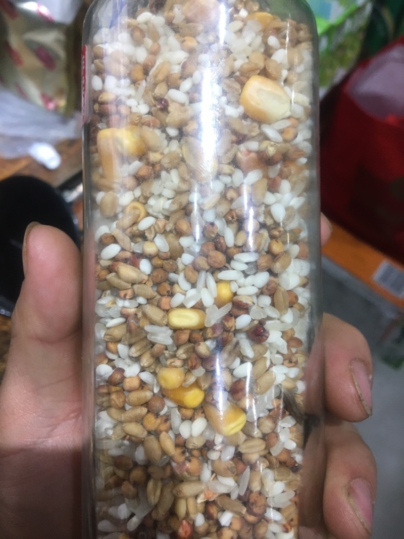 糜籽，红糜籽，黑糜籽，黄糜籽，糜籽糜籽糜籽糜籽糜籽糜籽