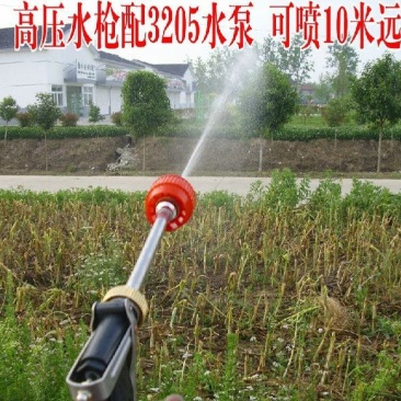 农用喷雾器水枪手枪式喷枪陶瓷芯喷药枪高压水枪喷农药枪果园