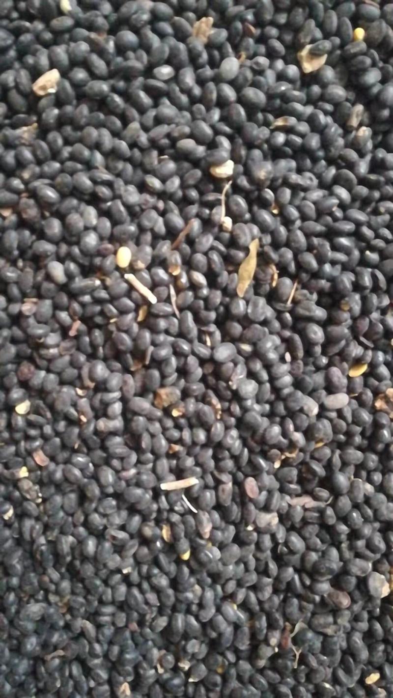 黑豆，小颗粒黑豆，大颗粒黑豆，黑豆黑豆黑豆黑豆黑豆黑豆黑