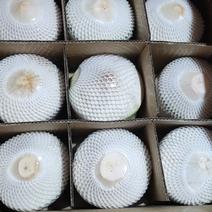 海南椰青厂家提供一件，天然自然水