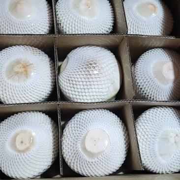 海南椰青厂家提供一件代发，天然自然水